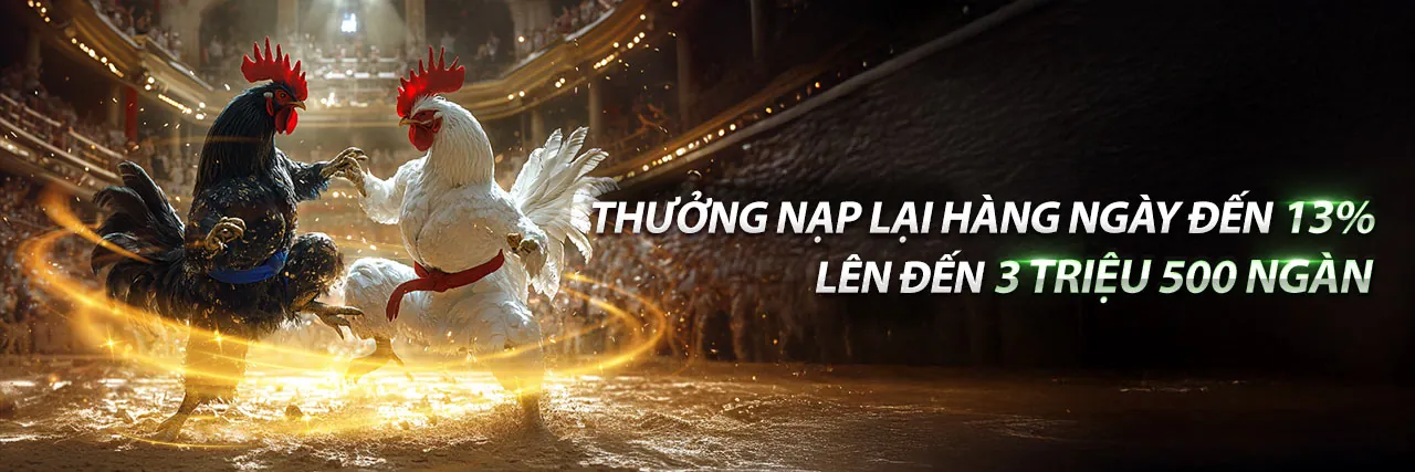 Tổng quan nền tảng 98win5 nhà cái