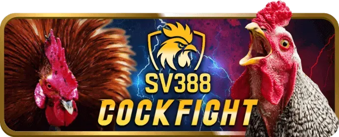 Các loại cookie và cách 98win5 nhà cái sử dụng dữ liệu để phân tích và quảng cáo