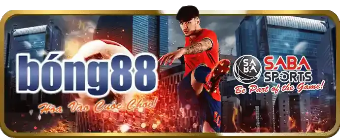 Tổng quan chính sách cookie và bảo vệ dữ liệu trên 98win5 nhà cái